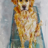 5. Waiting for Treat 14''x20'' Watercolor—SOLD