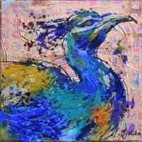 Peacock 12x12 — SOLD